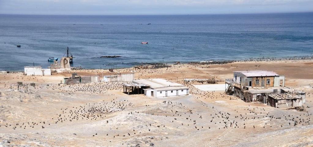Island facilities: pier, housing for guano workers