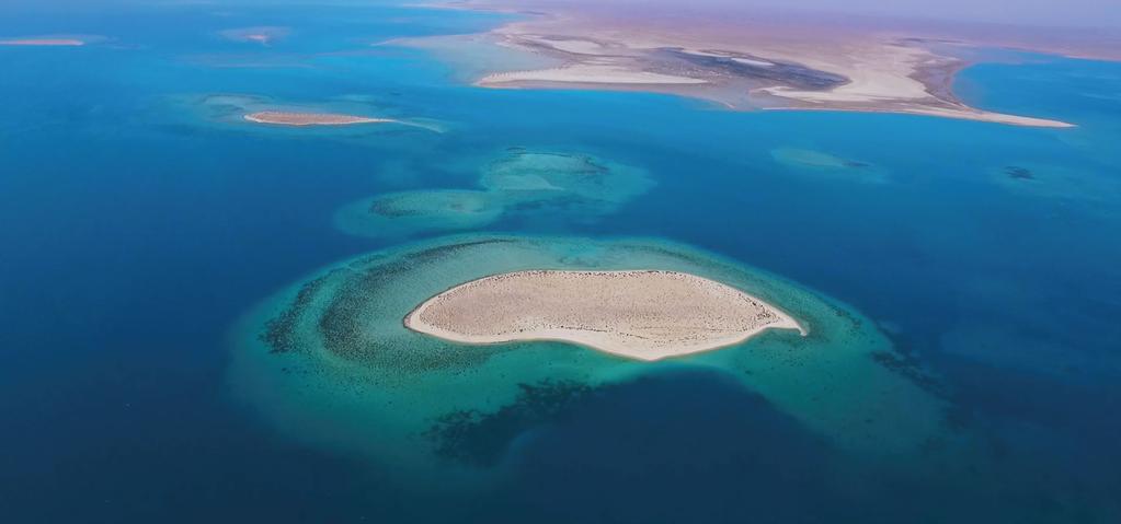 Project Area The Red Sea Project area is 34,000 square kilometers, which is larger than other global tourist destinations: Destination Mauritius Maldives Seychelles Bali Hawaii Red Sea Project