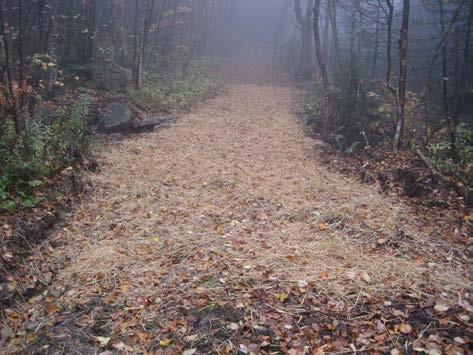 The following are some of the main considerations when constructing a trail.