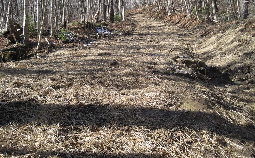 Drainage Ditches PURPOSE: Drainage ditches serve as the lowest point, collecting and moving water alongside a trail to a point where it can safely be diverted into vegetated area.