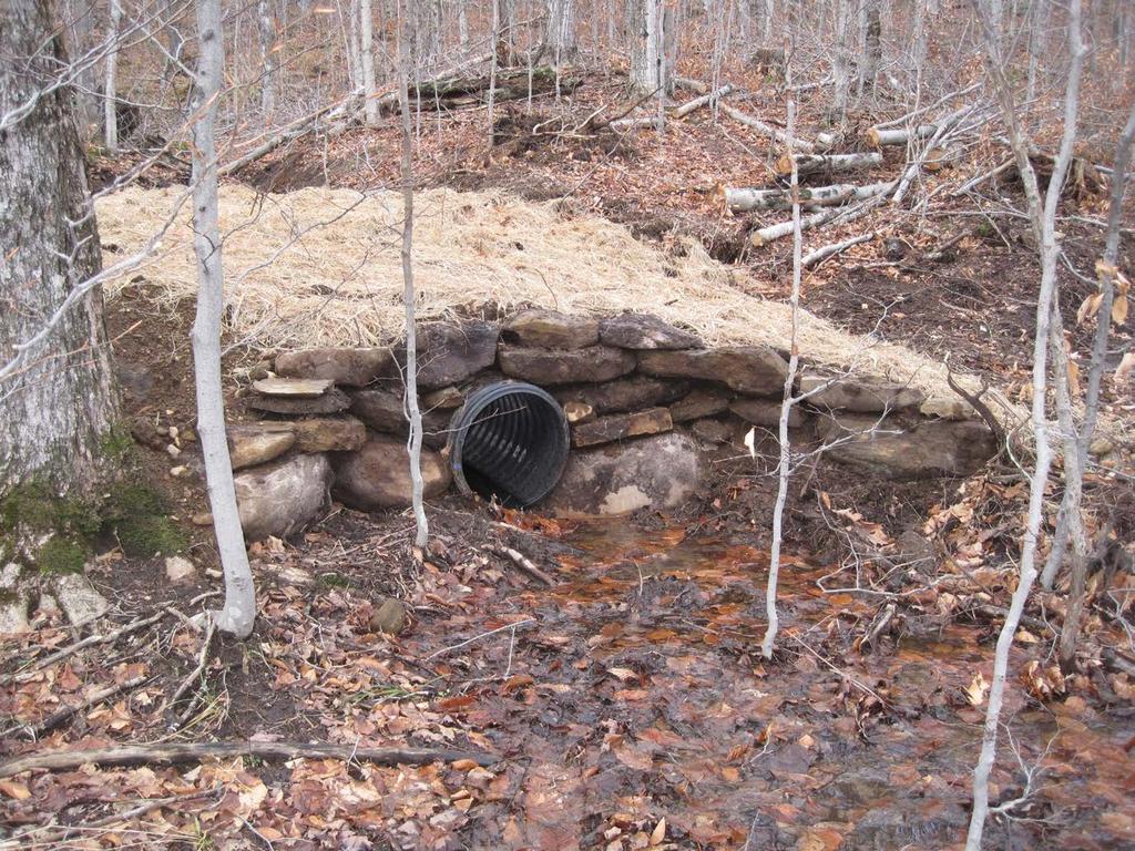 This properly placed culvert has a strong headwall that will keep fill in place and protect the top of the culvert
