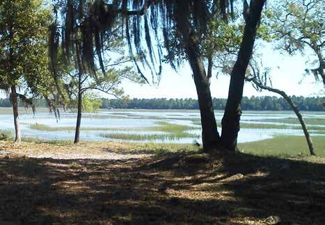 pines, palm trees with 2.95 miles of marsh frontage and deep water access into Fancy Bluff Creek.