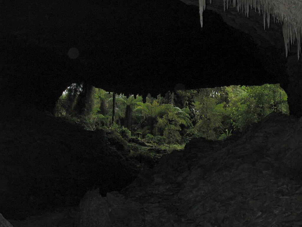 In New Zealand, caves are