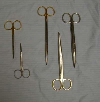 Scissors Blades of scissors may be straight, angled, or curved Tips may be pointed
