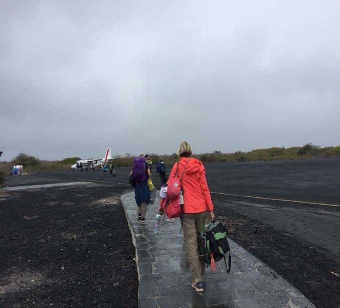 Galapagos Islands Volunteer Trip October 2016 Page 8 Day 9: We departed Campo Duro in the afternoon and returned to Hotel Volcano.