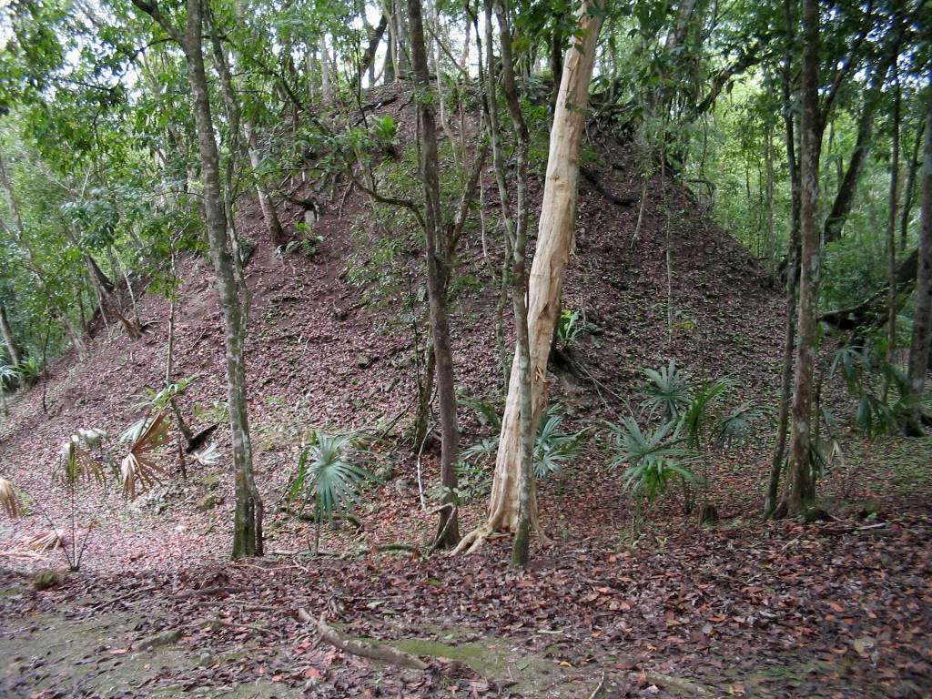 Complex R Mound Tikal,