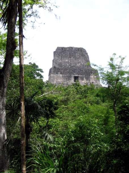Temple IV Tikal, Petén,
