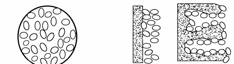 2. BIOLOŠKI KATALIZATORI 43 Slika 2.4. Šematski prikaz osnovnih načina imobilizacije ćelija i enzima Smeštanje unutar matrice nosača.