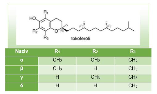 svjetlu nego u mraku. Kao i svi ostali antioksidansi, tako se i tokoferoli lako oksidiraju. Prilikom oksidacije tokoferola nastaju tokokinoni koji nisu antioksidansi (Swern, 1972). Slika 6.
