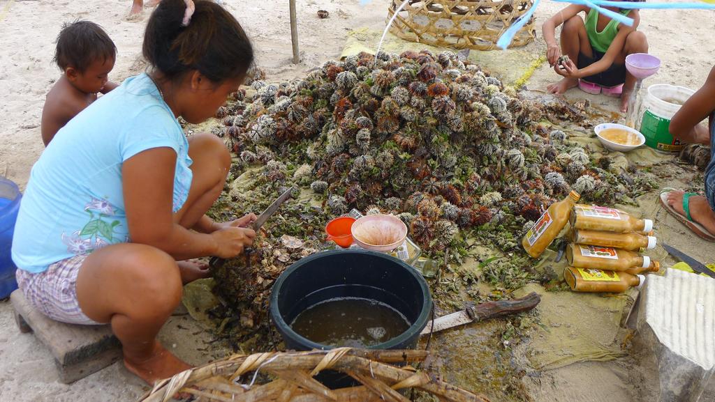 Exhibit 4 Sea Cucumber Processing Source: This photograph was taken by the author in 2012.