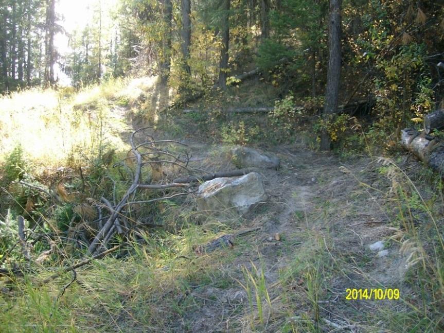 Additional illegal off-road use occurs along FR 2000085, FR 2000450, within the planning area s gravel pits and along the powerline corridor.