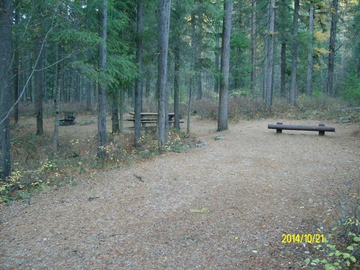 A system of Forest roads and trails provides visitors with easy access throughout the planning area.