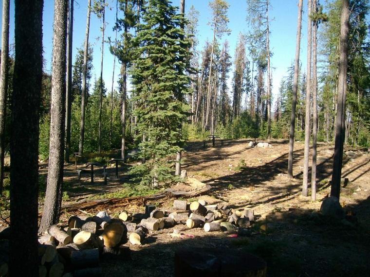 infected with the mountain pine beetle and heavy mortality with extensive hazard tree removal has already occurred at the site over the past two years.