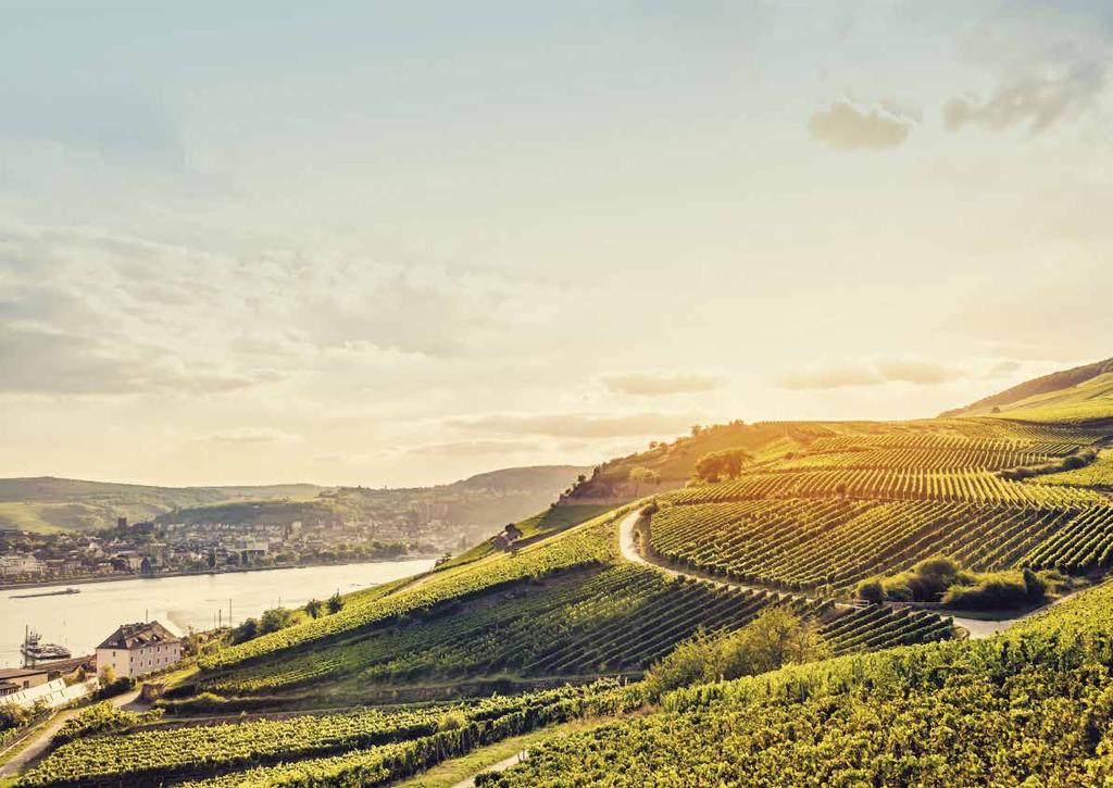 RHINE DISCOVERY On this legendary river, history and myths abound. As you sail its waters the ever-changing countryside drifts gently past and you are given a rare opportunity to sit and dream.
