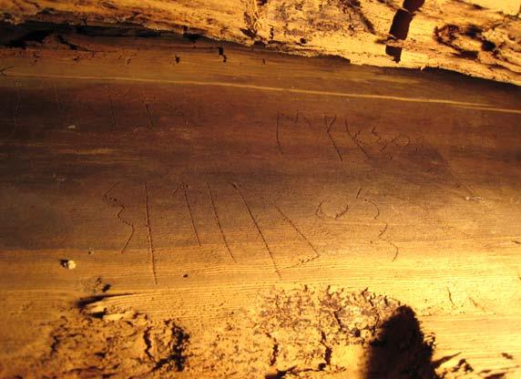Friends of Gordion Newsletter chamber, Richard Liebhart of the University of North Carolina, Chapel Hill, discovered four Phrygian inscriptions on one of the wooden roof beams, which no one had seen