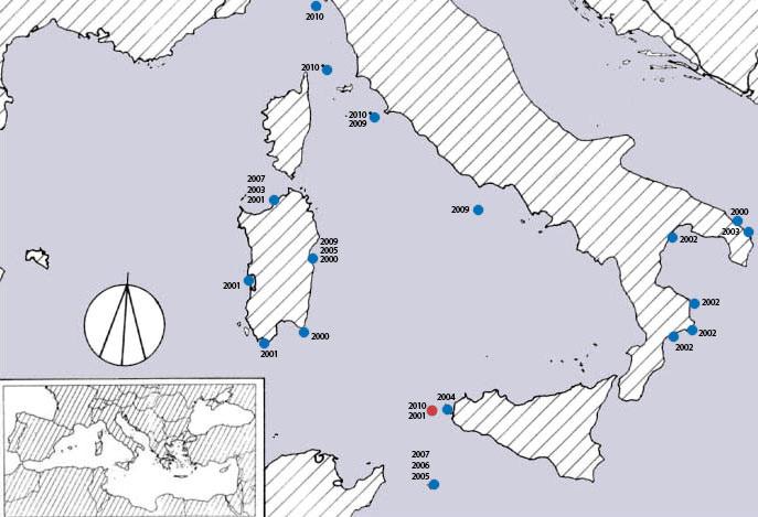 Vol. 13 (2): December 2010 Cave habitats used by Mediterranean monk seals (Monachus monachus) in Sardinia Luigi Bundone Gruppo Foca Monaca Italia The Mediterranean monk seal (Monachus monachus) is