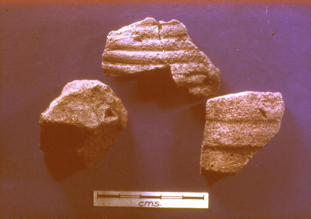 Fig 6: Typical east Mediterranean amphora ( Bii ) sherds KSG 1974 Conclusions From these minor incisions it would seem that although probably visited by Bronze Age hunters, Cadbury Hill was first