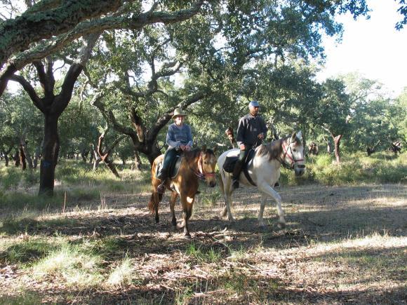 It is a lovely area for walking (coastal and inland) and there are some good mountain biking trails through the local cork oak forests.