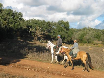 Canter inland through eucalyptus and cork oak forests, then head back to the windmill where the horses spend a second night. Driven back to Herdade Pessegueiro for dinner and night as before.