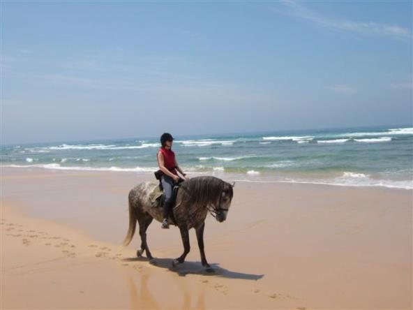 Mount up and from Almograve ride in the direction of the coast to reach the spectacular cliff tops of Cabo Sardão.