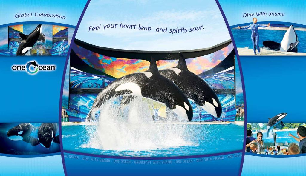 Enjoy a rare opportunity to dine with SeaWorld s biggest star at Dine Dive into the exhilaration of the sea with our Shamu show, One Ocean, a multi-sensory celebration of life under the sea.