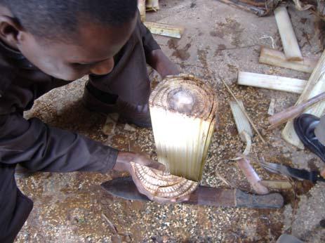 7.2 Constructing the combustion chamber: Cut a banana stem, and remove its outer layers to reduce its diameter to approximately13.5 cm.