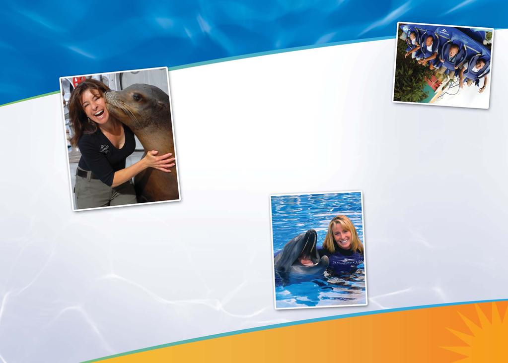 Speaker Biographies Brian Morrow Corporate Director Creative Development SeaWorld Parks and Entertainment Brian Morrow oversees the Creative Development for all attractions throughout the SeaWorld