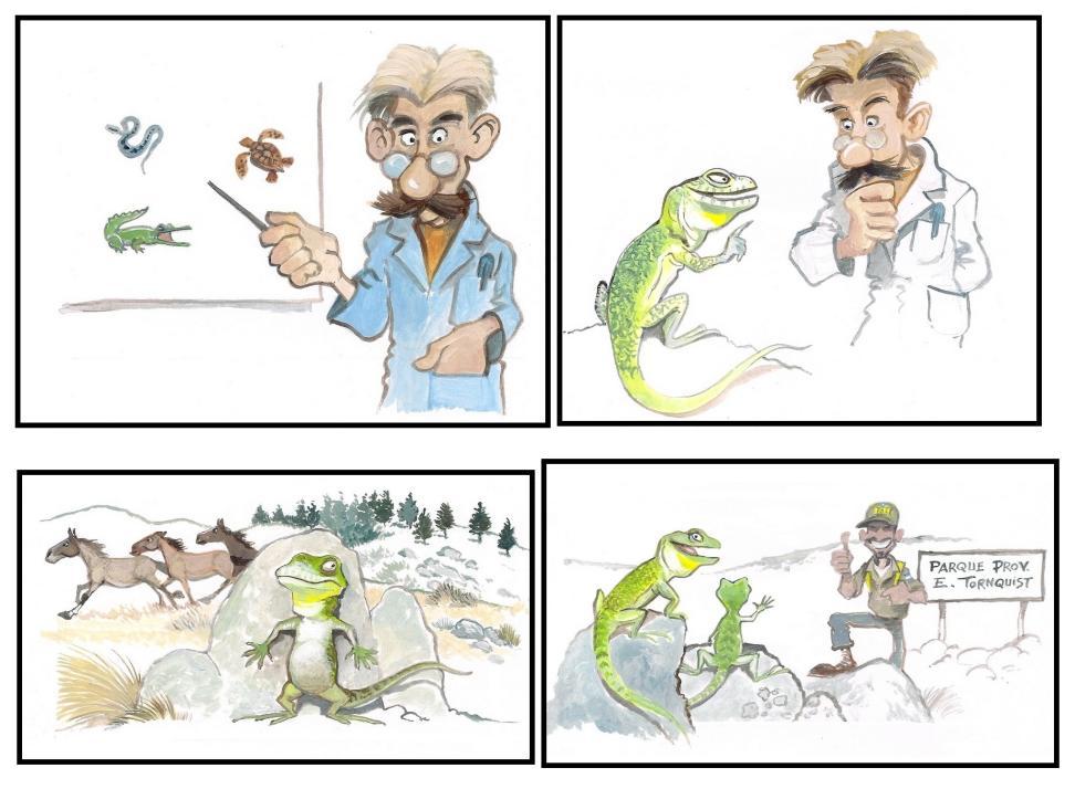 Figure 16: Some cartoon strip pictures in audiovisual format which chronicle the pursuit of