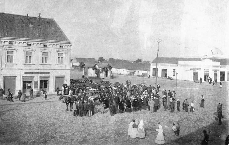 1905, ЗМЈ, инв. бр. 625 (документација ЗМЈ) 4.