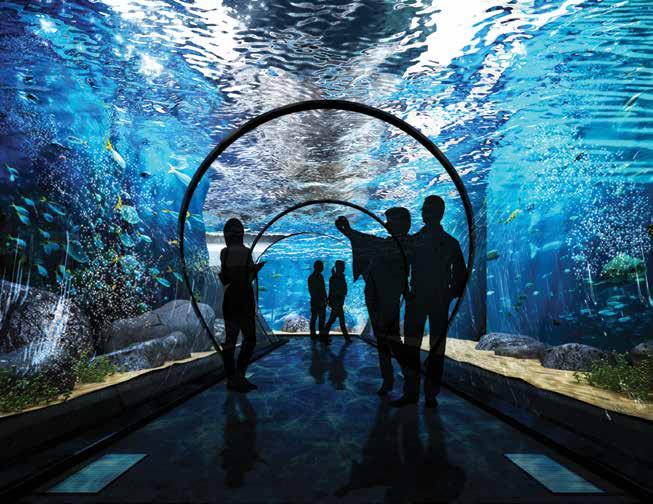 The tunnel walls are covered with images of fish and colorful coral - other sea life swims in the distance, mysterious and clouded by the murk of the water.
