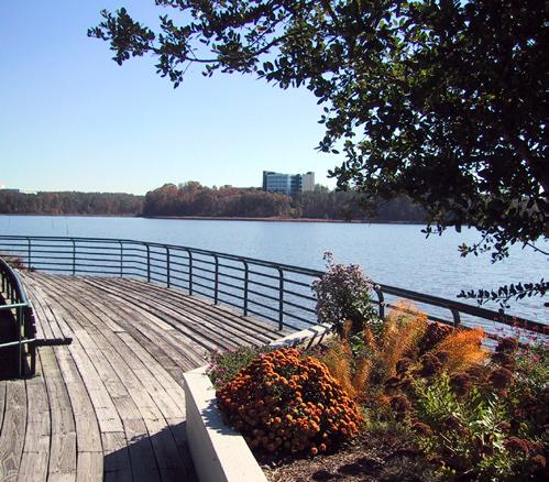 8 miles of paved trails that encircle the park and allow visitors to enjoy the unique flora and fauna of southwestern Wake County.