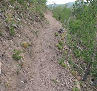 lic access, or recreate a parallel route on the National Forest to reconnect the McCullough Gulch Trailhead with the historical McCullough Gulch Road.
