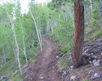 Trails). Although these trails form a discreet loop, the main trail continues across private property and connects to the Summit County-managed Wakefield/Blue River Trail to the south.