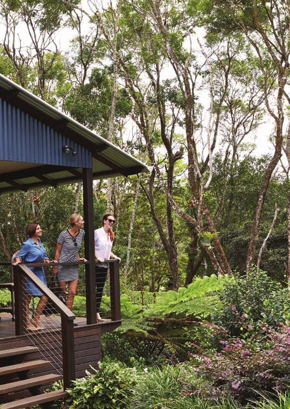 SPICERS TAMARIND RETREAT rainforest RECLINE IN THE SPICERS TAMARIND RETREAT Spicers Tamarind Retreat, situated next to Gardner s Falls in the stunning Sunshine Coast Hinterland just 90 minutes from