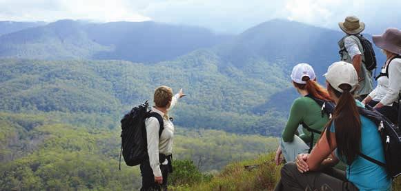 AUSTRALIA S NEWEST ICONIC WALK The Scenic Rim Trail is already praised as one of the great walks of Australia.