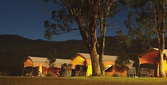 CBD, the You ll also enjoy the company of one or more expert Scenic Rim contains more than 30,000 hectares of parkland, field guides, whose passion and experience will state forests, national parks