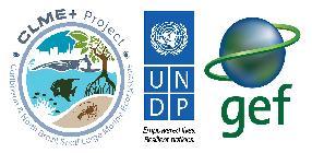 GEF CLME+ Ecosystem-Based Management Workshop On 11th March 2017, the GEF-funded Caribbean and North Brazil Shelf Large Marine Ecosystems Project ( the UNDP/ GEF
