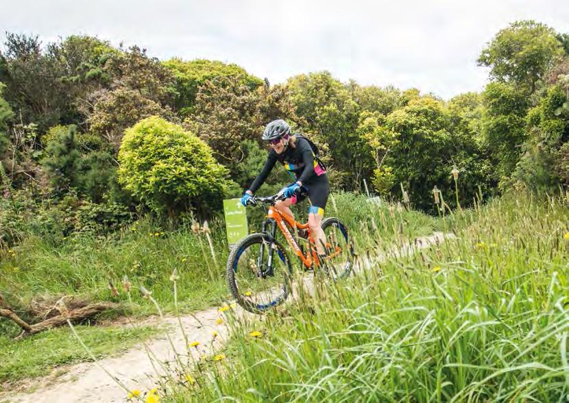 Image: Peter Marshall Makara Peak Mountain Bike Park Master Plan Prepared for