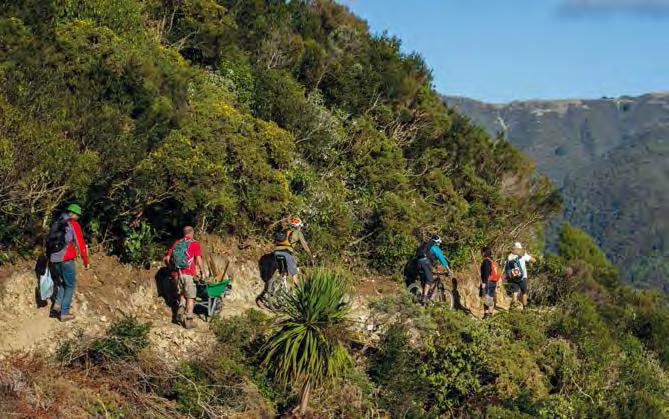 10 Makara Peak Mountain Bike Park Master Plan Image: Dan Sharpe 3.6 What should the management model be? 1. Ownership of Makara Peak and all supporting infrastructure will remain with the Council. 2.