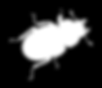 gregarina ŠKOLJKE veliki vrtni navadni brizgač PLOSKI ČRV TROSOVCI vodna bolha POLŽI MEHKUŽCI ameba ježek RJAVE ALGE ALGE JI MIGETALKAR ŽUŽELKE škorpijon ŠČIPALCI črni morski