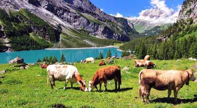 10 DAYS TOUR OF THE ALPS (Validity : Jun 2018 - Sep 2018) The splendour of Liechtenstein s mountain scenery. Yours to enjoy on Day 3 of the tour! ITINERARY Day 1: Welcome to Munich.