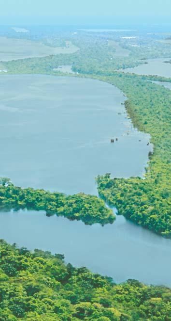 The longest navigable river in the world, the Amazon winds more than 6400 kilometres from its source in the Andes Mountains to the Atlantic Ocean, and its tributaries fan out over 3.