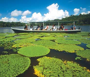 Gather on the vessel s upper deck for a festive farewell as the sun sets over the lush flora of the passing rainforest.