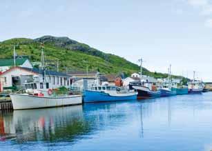 Anthony Sir Wilfred Grenfell Centre > Norstead Viking Village > Red Bay Basque Whaling Station > Newfoundland Insectarium > King s Point Pottery > Prime Berth Twillingate Fishery & Heritage Centre >