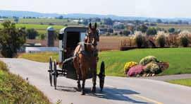 Jacobs to explore Mennonite culture and visit the St. Jacobs & Aberfoyle Model Railway. This evening, be treated to a performance of the Kitchener-Waterloo Symphony.