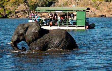 POST-TOUR EXTENSION HIGHLIGHTS BOTSWANA & VICTORIA FALLS *Zambezi River cruise * Victoria Falls and surrounding rainforest * Early morning safaris and sunset evening cruises in Chobe National Park in