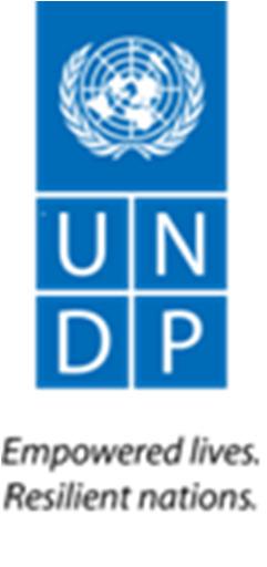 UNDP Kosovë (Asistenca teknike Ekipit të Kombeve të Bashkuara në Kosovë (EKBK(/UNKT-eng) për departamentin e TI-së së Agjencisë së Statistikave të Kosovës (ASK) Analiza teknike e teknologjisë së