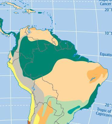 Brazil s Coast Tropical Rainforest 95% Cut Down For