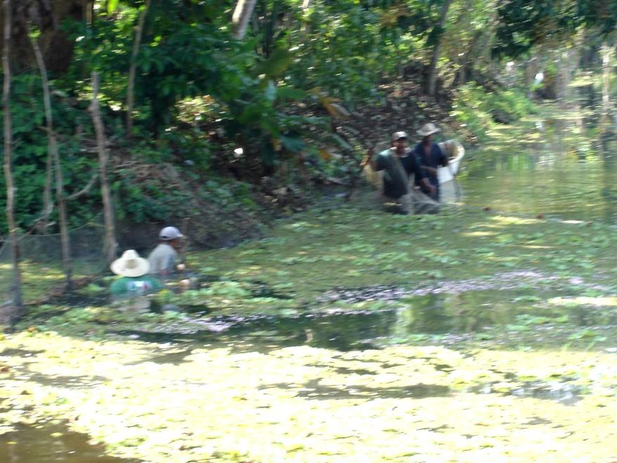 Tucta Villagers removing