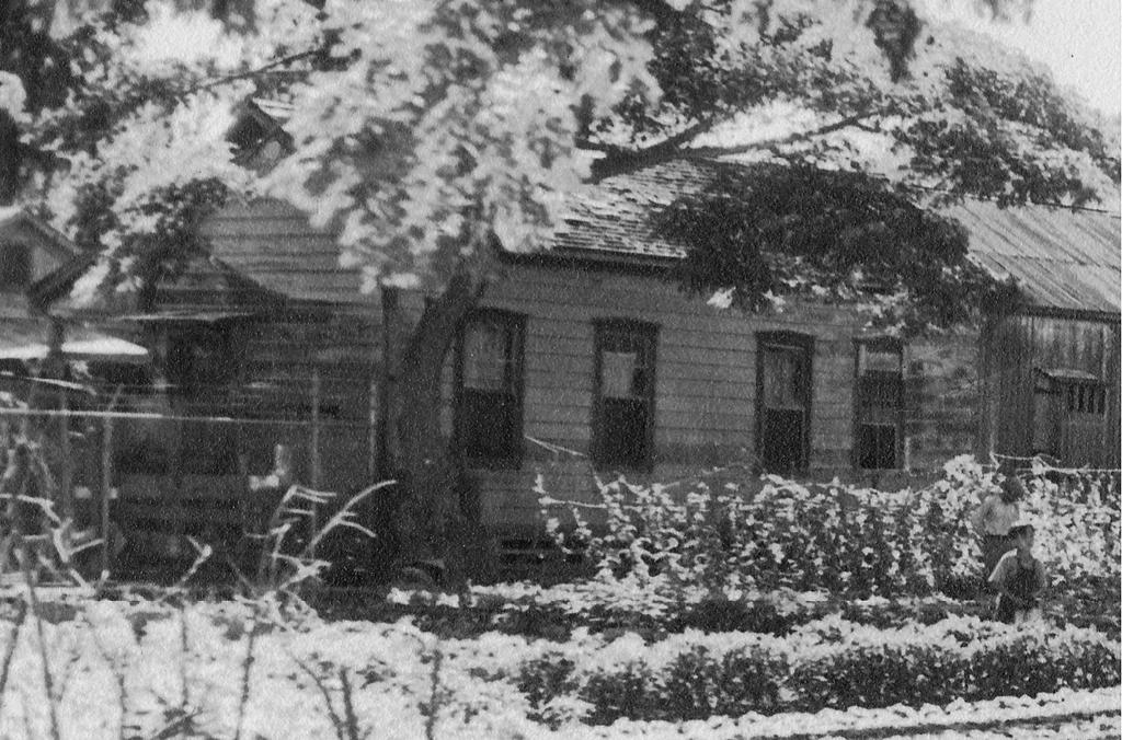 158 the hawaiian journal of history Figure 5. A remnant of the relocated Kapālama residence of Princess Ruth Ke elikōlani faced the Palama Settlement gardens in 1932.